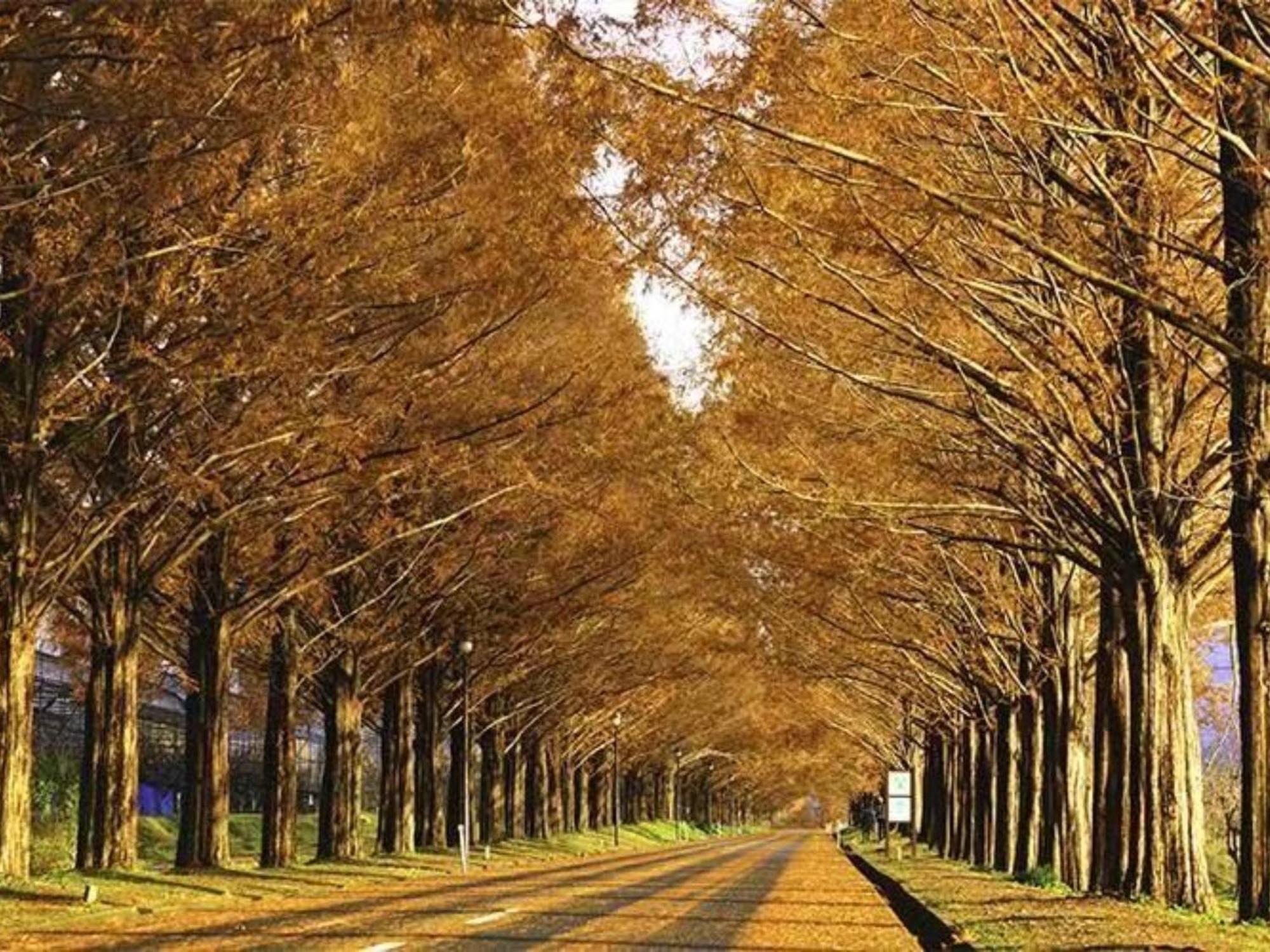 Beau Biwako Holiday home