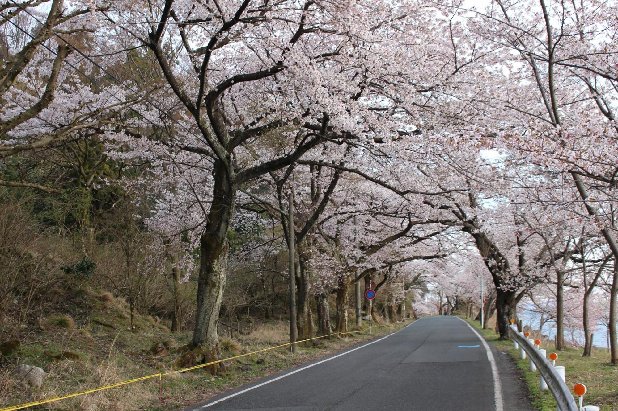 Beau Biwako *